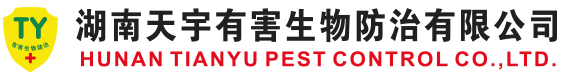 囍福結(jié)婚首飾